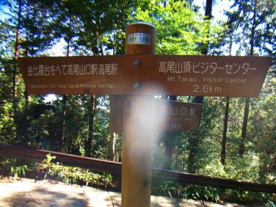 ここから金毘羅台のほうへ行く