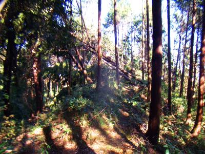 JR高尾駅への下りは結構荒れた道が多い