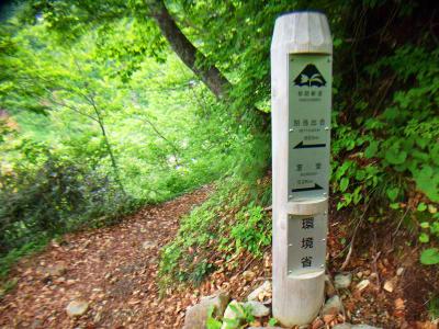 室堂まで5.2kmもあるのか。さすが標高差があるだけ長い