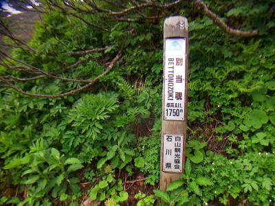 別当覗・標高1750m