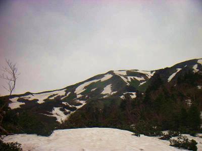 雪道になってきました