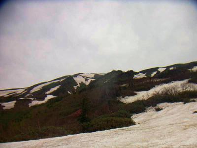 高山っぽくなってきたけど、雪がやっぱもう腐ってるね