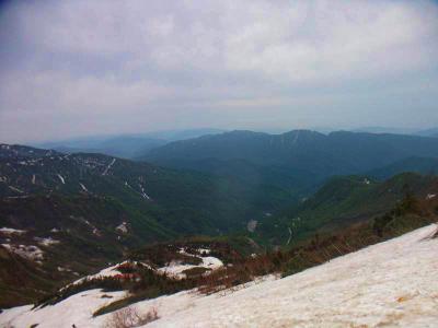 ずいぶん高いところまで登ってきた