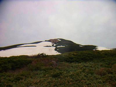 ついに見えてきた白山のピーク。今回は夏道を通らずにこの左側よりシールでピーク手前まで行くことにした