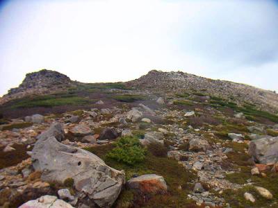 ここからはもう雪がない。山頂直下の稜線の手前にスキーを置く