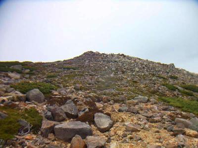 意外とここの登りがしんどい。空気が薄いせいかな！？