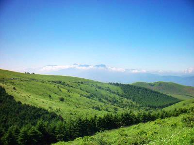 この付近は高原地帯なんよね