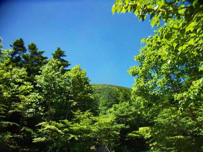 将軍平より蓼科山のピークを見る