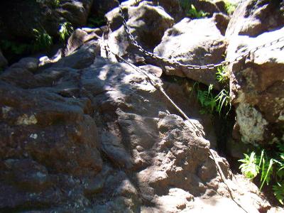 将軍平からはガレ場を直登している感じ