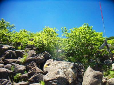 ここからはこういったガレ場の登りになって少しキツくなってくる