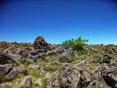 この山は本当にガレたところばかりだ
