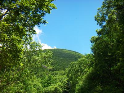 下山後、改めて蓼科山を見る