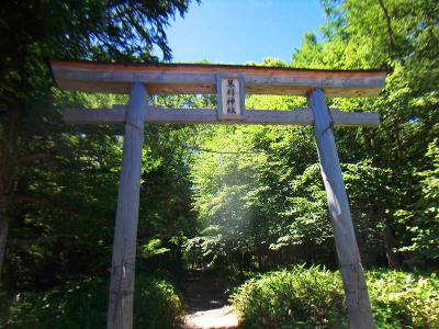 ここも祭られているのか鳥居があった