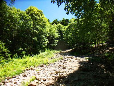 ガレ場のうような道になってきます。この辺りから直登してる感じがした