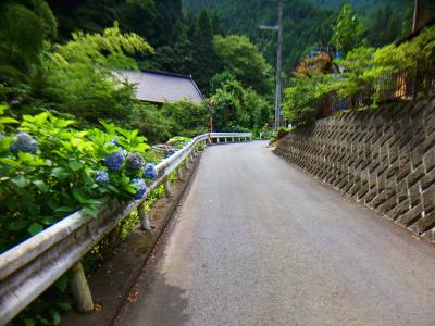 しばらく道路を歩く