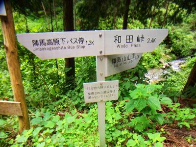 このまま道路で和田峠まで行ってもいいけど、陣馬山頂を直でいったほうが早そうなのでそっちで行く
