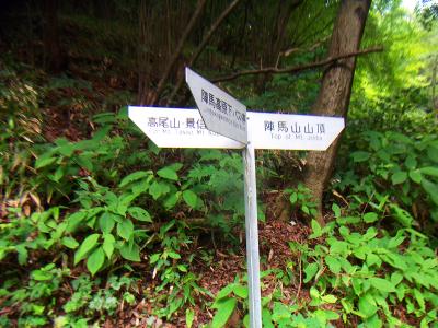 とりあえずは陣馬山山頂へ向かう