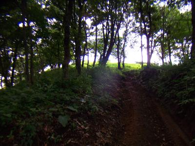 上が明るくなった。山頂はすぐそこだろう