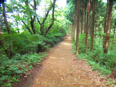 なだらかな稜線歩きが続く。歩いていて気持ちが良い