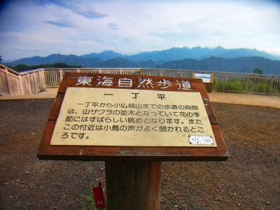 続いて高尾山頂手前にある一丁平に到着。高尾山から向こう側は行ったことなかったので初めてだったけどこんなところあったんだな