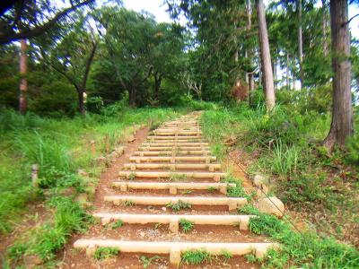 いよいよ最後の高尾山山頂への登り。まあ、ここも整備された階段でそんな急登でもないし苦じゃなかった
