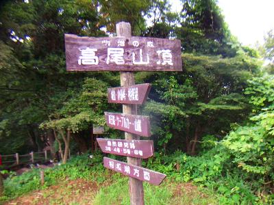 高尾山頂(599.3m)に到着。これで縦走は達成した感があった。さてどこから下りていくか！？