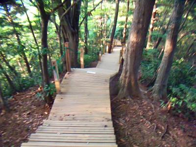 新しくできた4号路の道があるらしいので、そっち経由で下ることにした