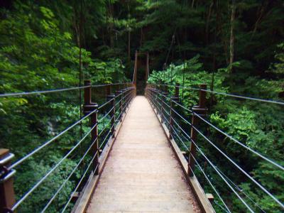 4号路にある吊り橋。まだ新しいのか綺麗だった。ここから金毘羅台に戻りJR高尾駅まで歩いていった。今回の撮影はここで終わり。お疲れ様でした。