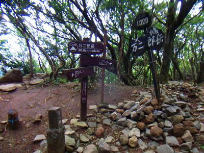 万二郎岳山頂(1299m)に到着