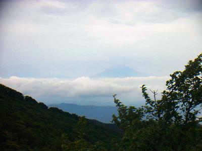 万二郎岳のピークから下り途中に展望。富士山が見えた