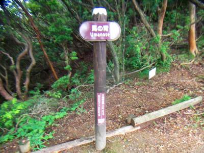 馬の背。なんか普通の登山道の途中って感じだけどね
