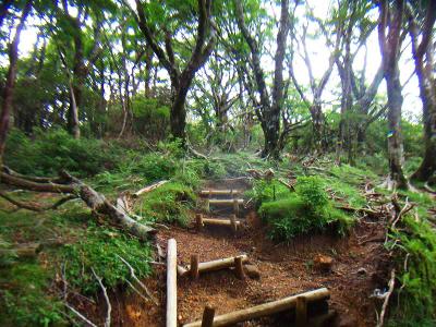 万三郎岳のピークへの登り。あまりしんどい感じでもなかった