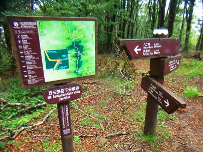 さて、ここからは下っていく