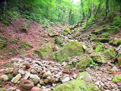下りはこういうガレ場のある谷を横切ったりする