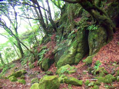ガレ場のトラバース気味の道を進んでいく