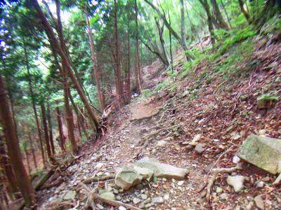 涸沢分岐から少し道が荒れていたというか、道が少しわかりにくい箇所があった