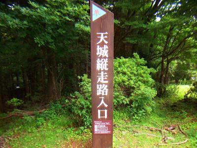 天城縦走路入口から入山してスタートする
