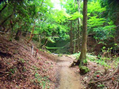 しばらくなだらかな道が続く