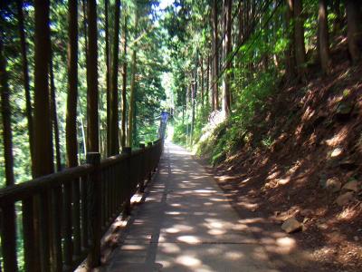 まずは舗装された道を歩いていく