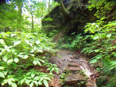 せっかくなので七代の滝だけ見に行くことにした