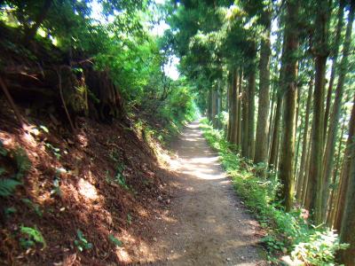 なだらかで気持ちの良い稜線歩きが続く