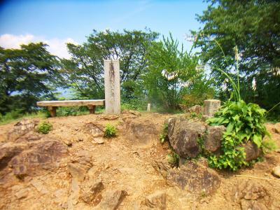 これが日の出山の山頂三角点っぽい