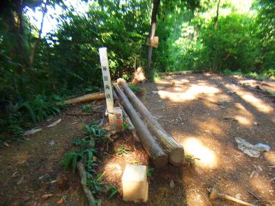 三室山山頂らしい。ここにも三角点があった