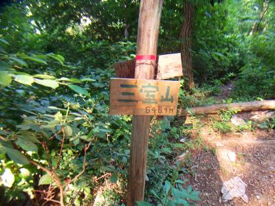 三室山山頂(646.9m)に到着。山頂というより登山道の途中って感じもしたけどね