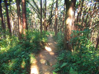 さて本格的な下りがはじまる