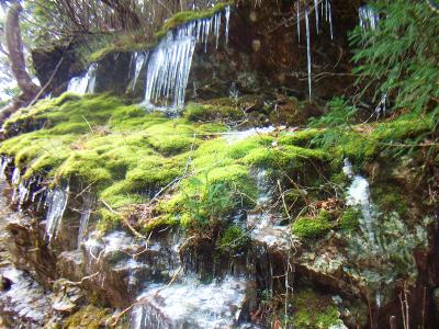 あちこちにつららがあった。すっかり冬だね