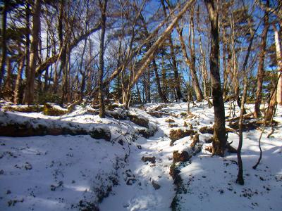 雪の量が増えてきた。膝まで入るくらいの量だとまずい