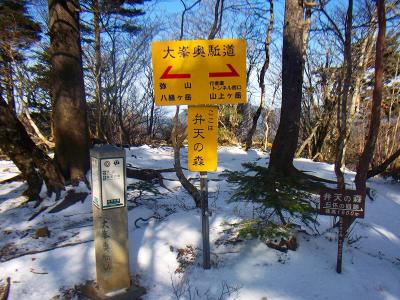 弁天の森に到着したが先を急ぐ