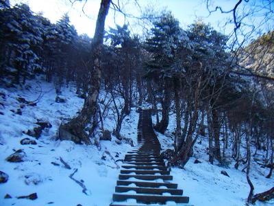 しかし階段の多いところだ。おかげで歩きやすいけど階段ってペース乱されるんよね