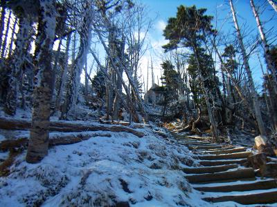 やっと弥山小屋が見えた。ここまで来ると弥山はすぐそこ